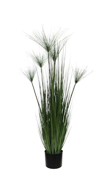 Papyrus vert artificiel en pot PVC noir D17xH127cm
