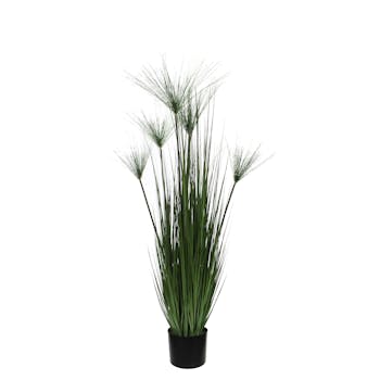 Papyrus vert artificiel en pot PVC noir D17xH127cm