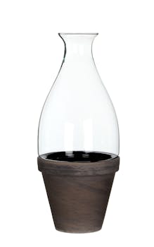 Terrarium en verre col étroit évasé sur pot en Terre-cuite marron beige D13xH30cm