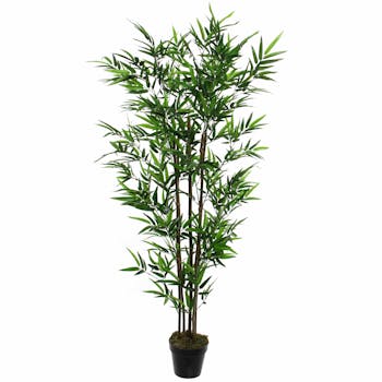 Bambou en pot 155 cm