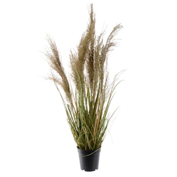Herbes en pot plumes couleur naturelle H65cm