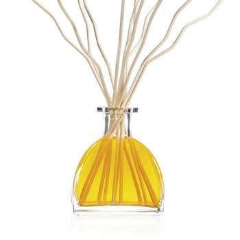 Diffuseur de parfum Origin Cèdre et Vanille CLEM GOA 250ml