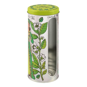 LES FENETRES Boîte Thé à la Menthe 7,5x17,5cm DLP
