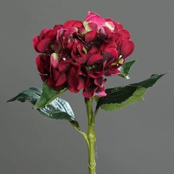 Hortensia fuchsia 47cm