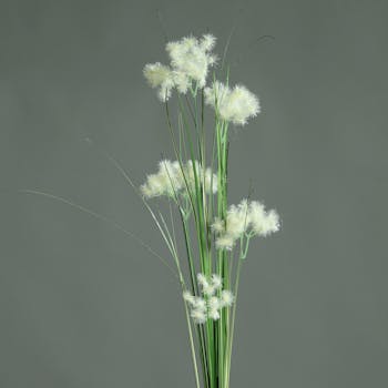 Herbe fleurs Crème 93CM