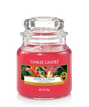 Jungle Tropical bougie parfumée petite jarre YANKEE CANDLE