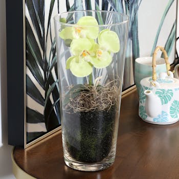 Phalaenopsis blanc vert en vase verre 30 cm
