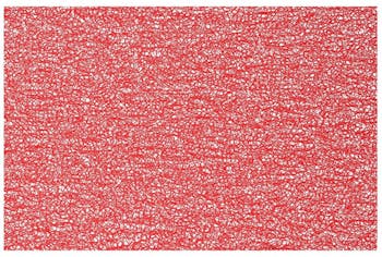 Set de table spaghetti  30 x 45 cm Rouge