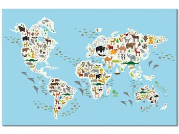 Tableau enfant atlas animaux du monde