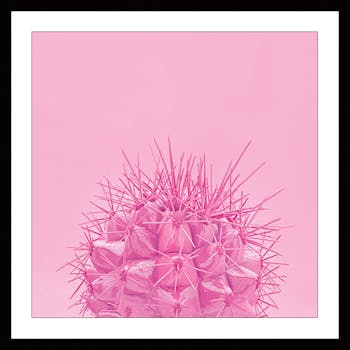 Affiche décorative encadrée cactus fond rose