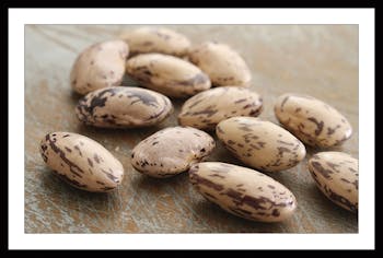 Affiche cuisine encadrée haricots secs