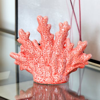 Corail de décoration en porcelaine