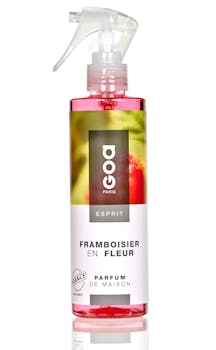 Vaporisateur de parfum Esprit Framboisier en Fleur 250 ml CLEM GOA