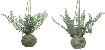 Fougère en pot boule à suspendre