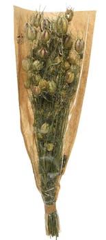 Bouquet de nigelle fleurs naturelles séchées 50 cm
