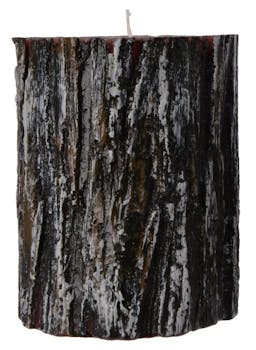 Bougie forme tronc de bouleau gris