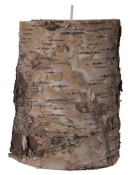 Bougie forme tronc de bouleau beige