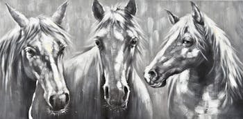 Tableau animaux 3 chevaux gris