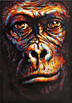 Tableau animaux visage gorille 100x70