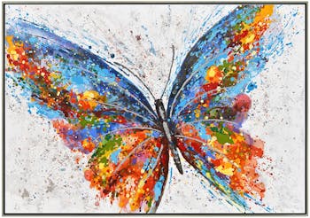 Tableau animaux papillon multicolore cadre argent 70x100