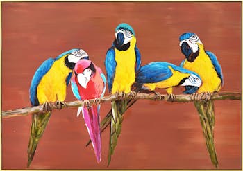 Tableau animaux perroquets fond terracotta cadre doré 70x100
