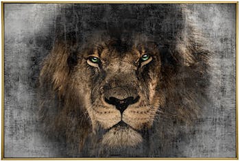 Tableau animaux lion cadre doré 80x120