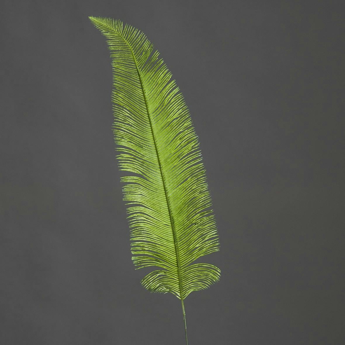 6 feuilles de Fougère Vert 60CM