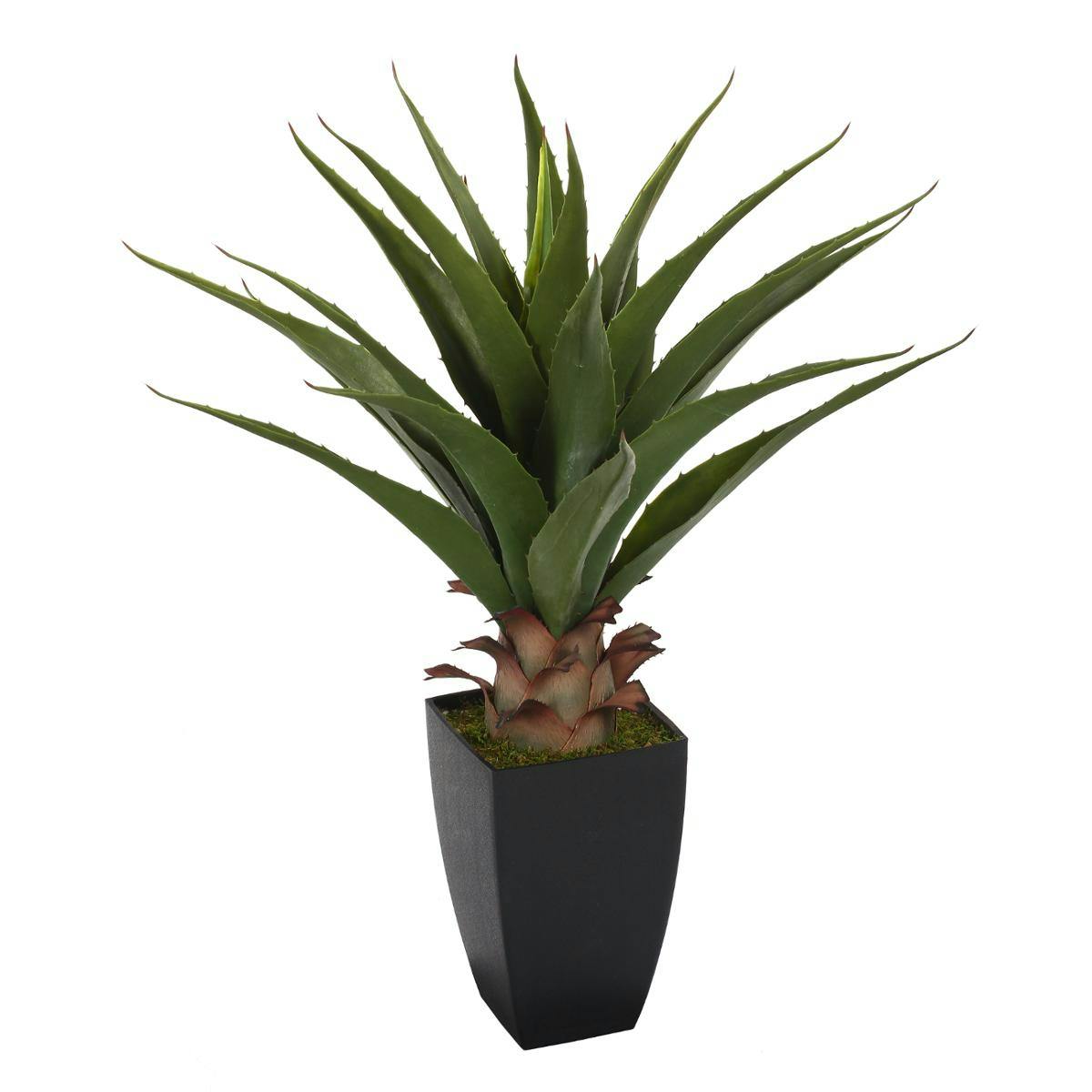 Agave en pot rectangulaire H73cm