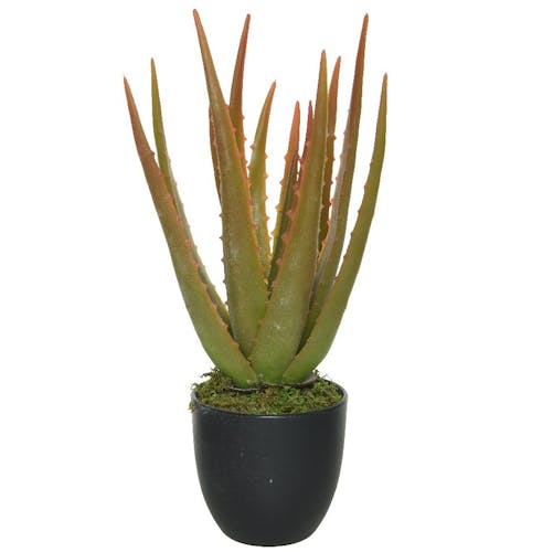 Aloe vera artificiel dans pot avec cailloux