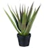 Aloe vera artificiel en pot résine - H50cm