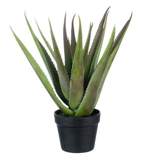 Aloe vera artificiel en pot résine - H50cm
