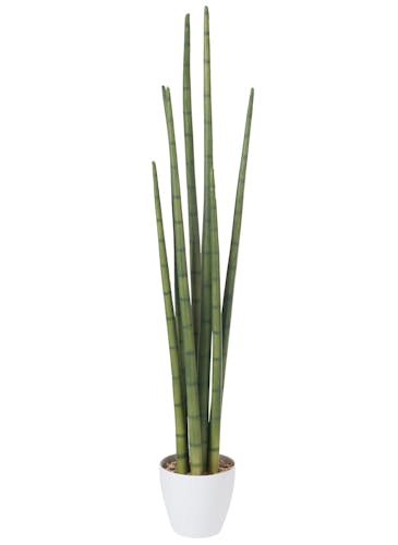 Aloe vera plante artificielle cache-pot blanc réf.30022542