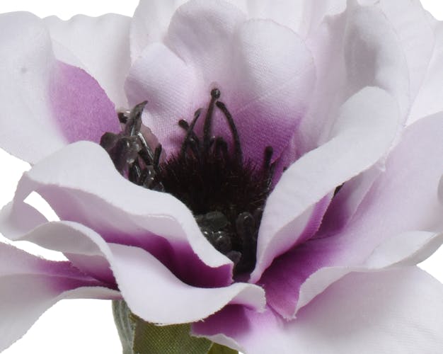 Anémone artificielle, couleur lilas