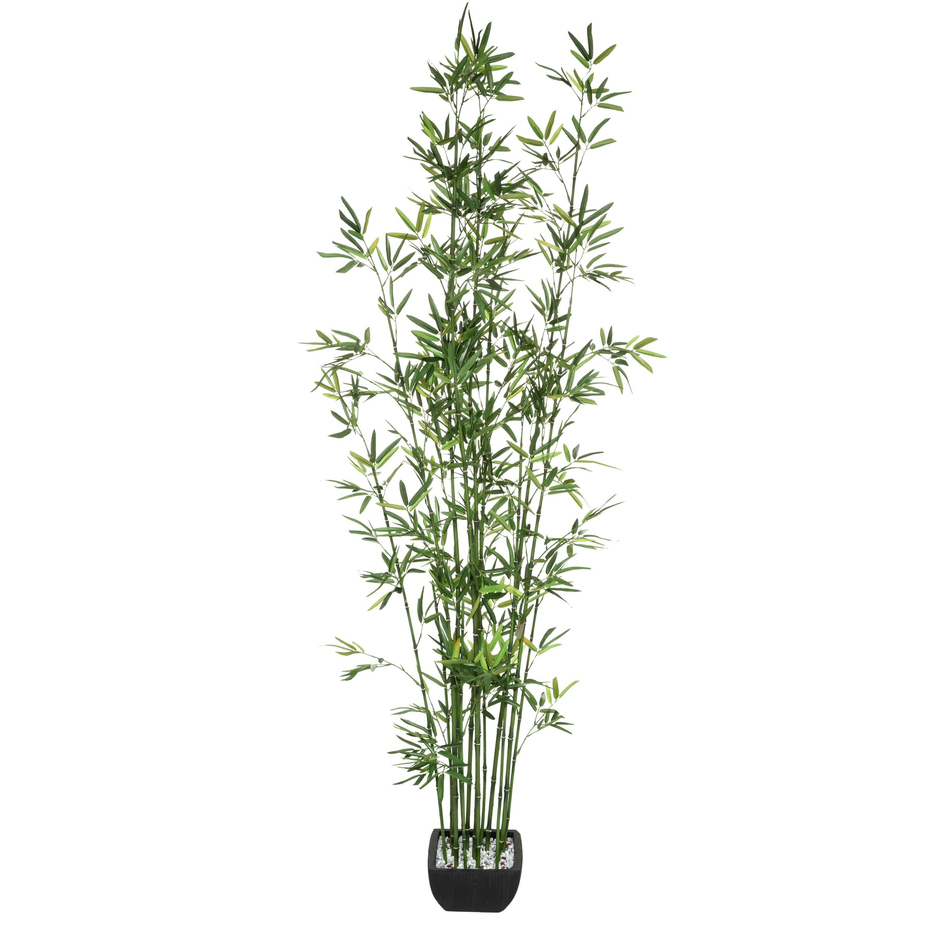 Bambou dans son pot en céramique (180 cm)