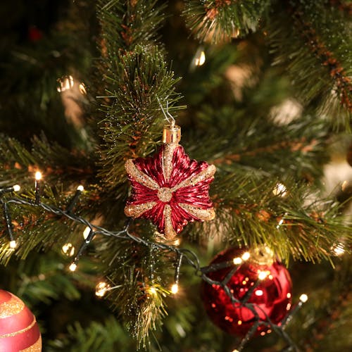 Boite de 20 décors de Noël cloche dorée