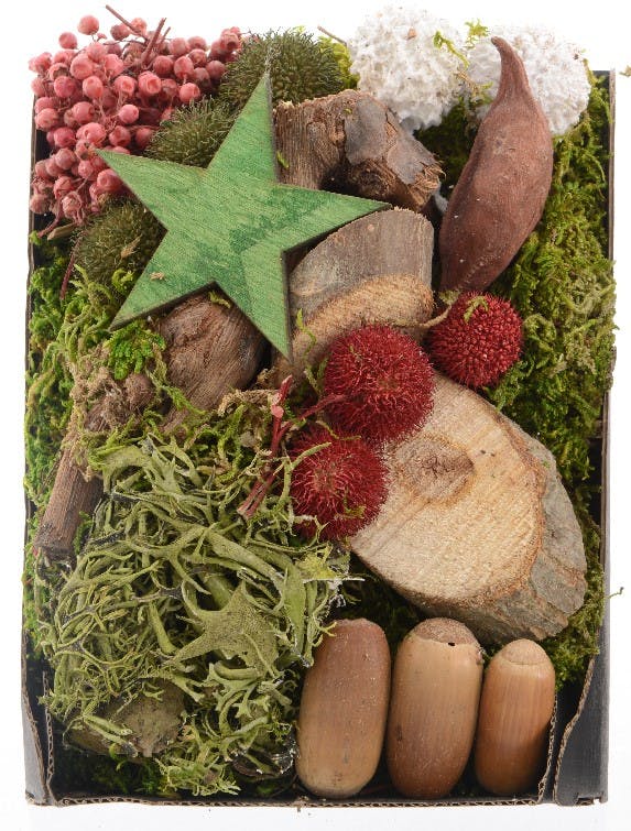Boite de décoration naturelle Etoile verte
