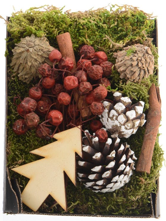 Boite de décoration naturelle Sapin beige