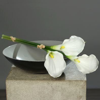 Botte de 3 callas blancs, 50cm
