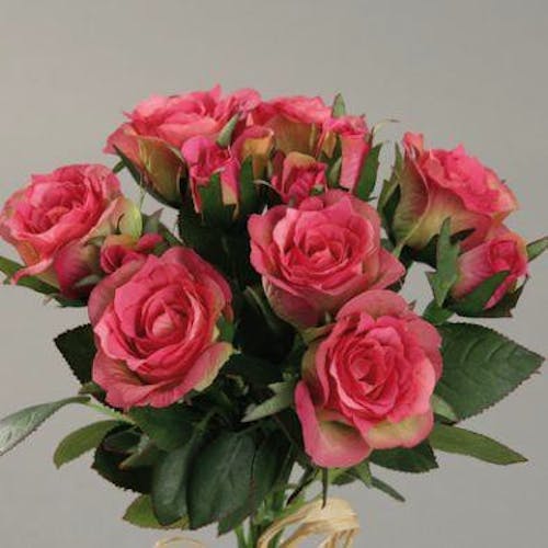 Botte de 7 roses en boutons coloris rose et vert, 26cm