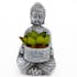Bouddha pot avec succulente