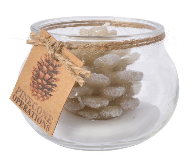 Bougie pomme de pin beige pot verre