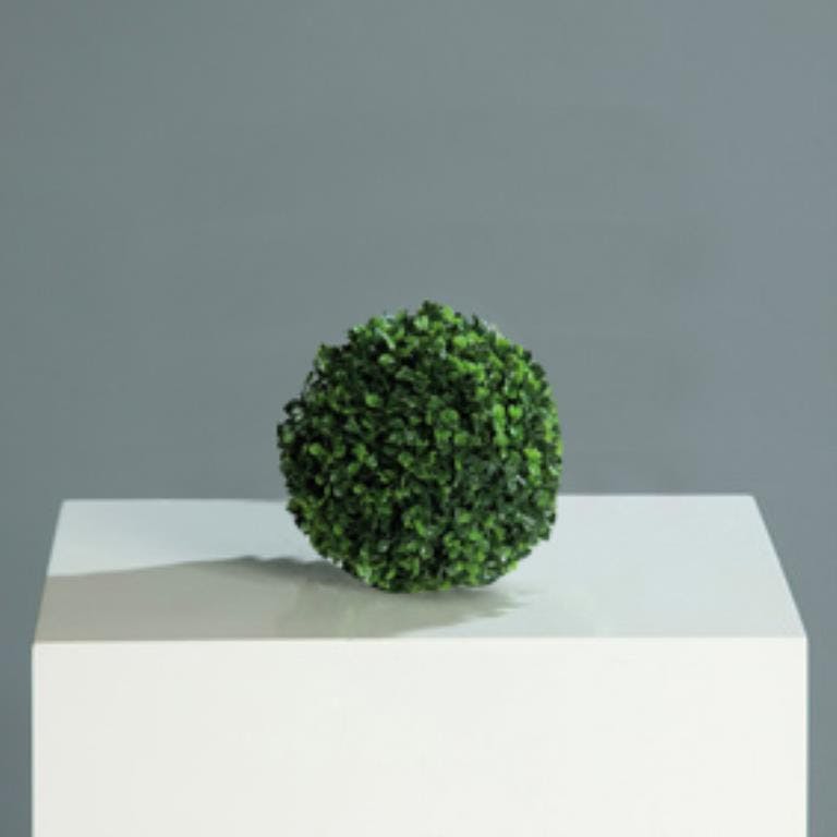 Boule de buis 10cm