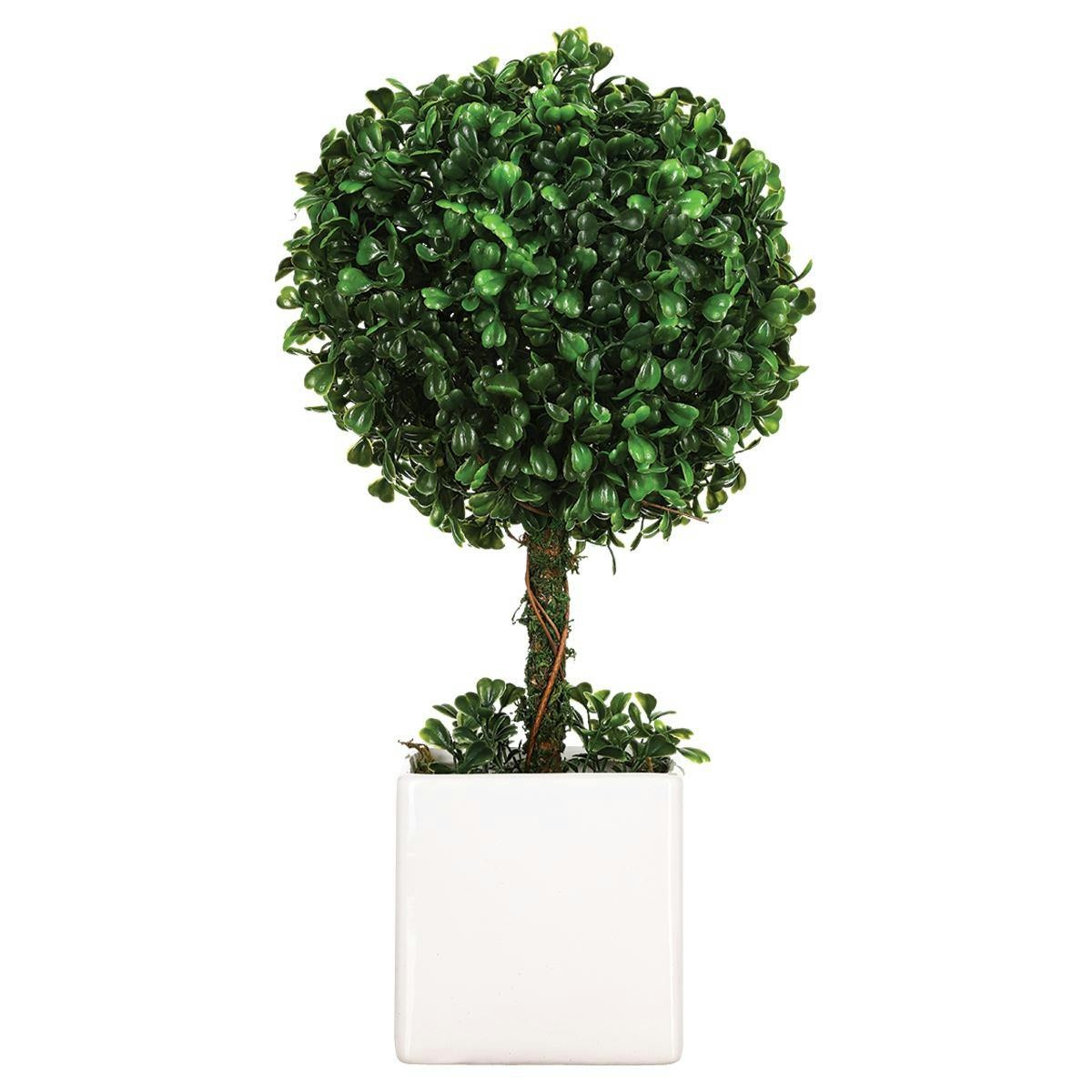 Boule de buis dans son pot en céramique blanche H38cm