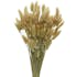 Bouquet de fleurs séchées plumeau 75 cm