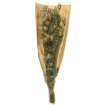 Bouquet de nigelle fleurs naturelles séchées 50 cm