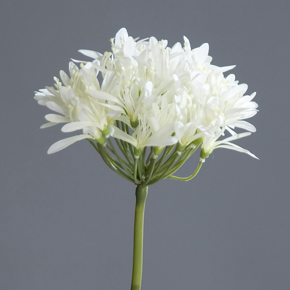 Branche Allium Blanc 75CM