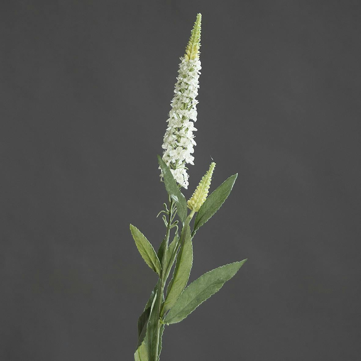 Branche de Véronique Crème 76CM