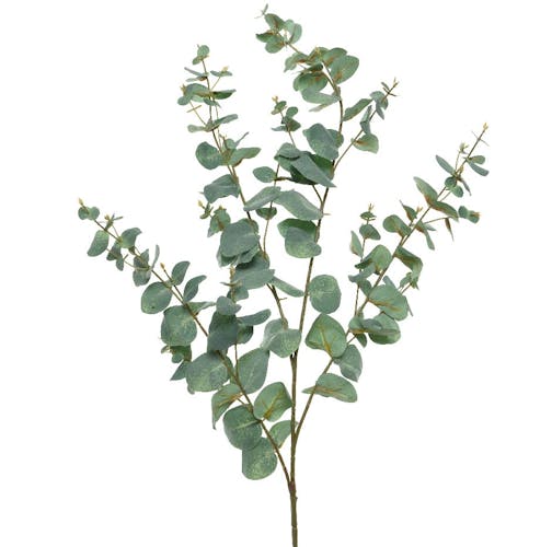 Branche d'eucalyptus artificiel 118 cm