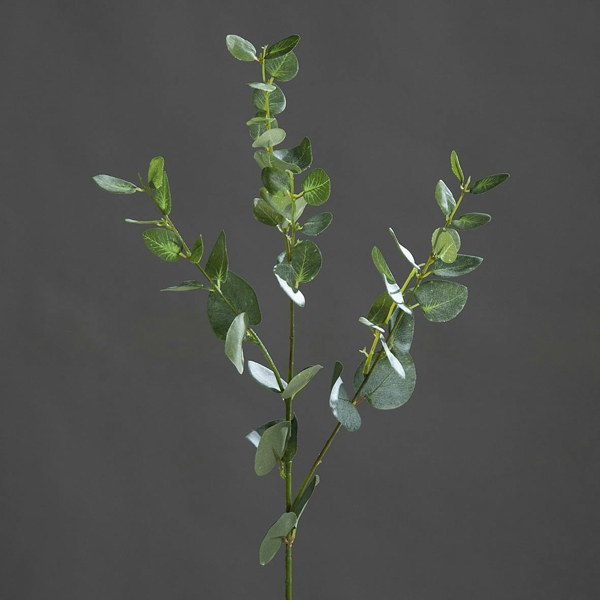Branche Eucalyptus Vert 79CM