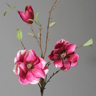 Branche magnolia fuchsia